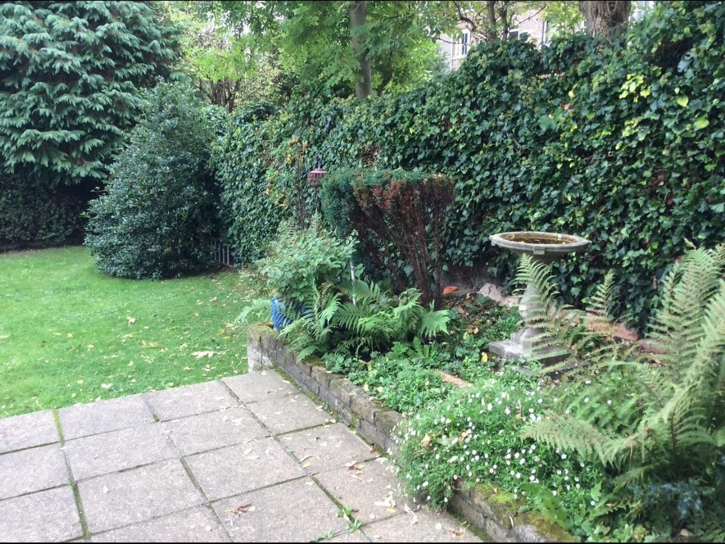 Image 10