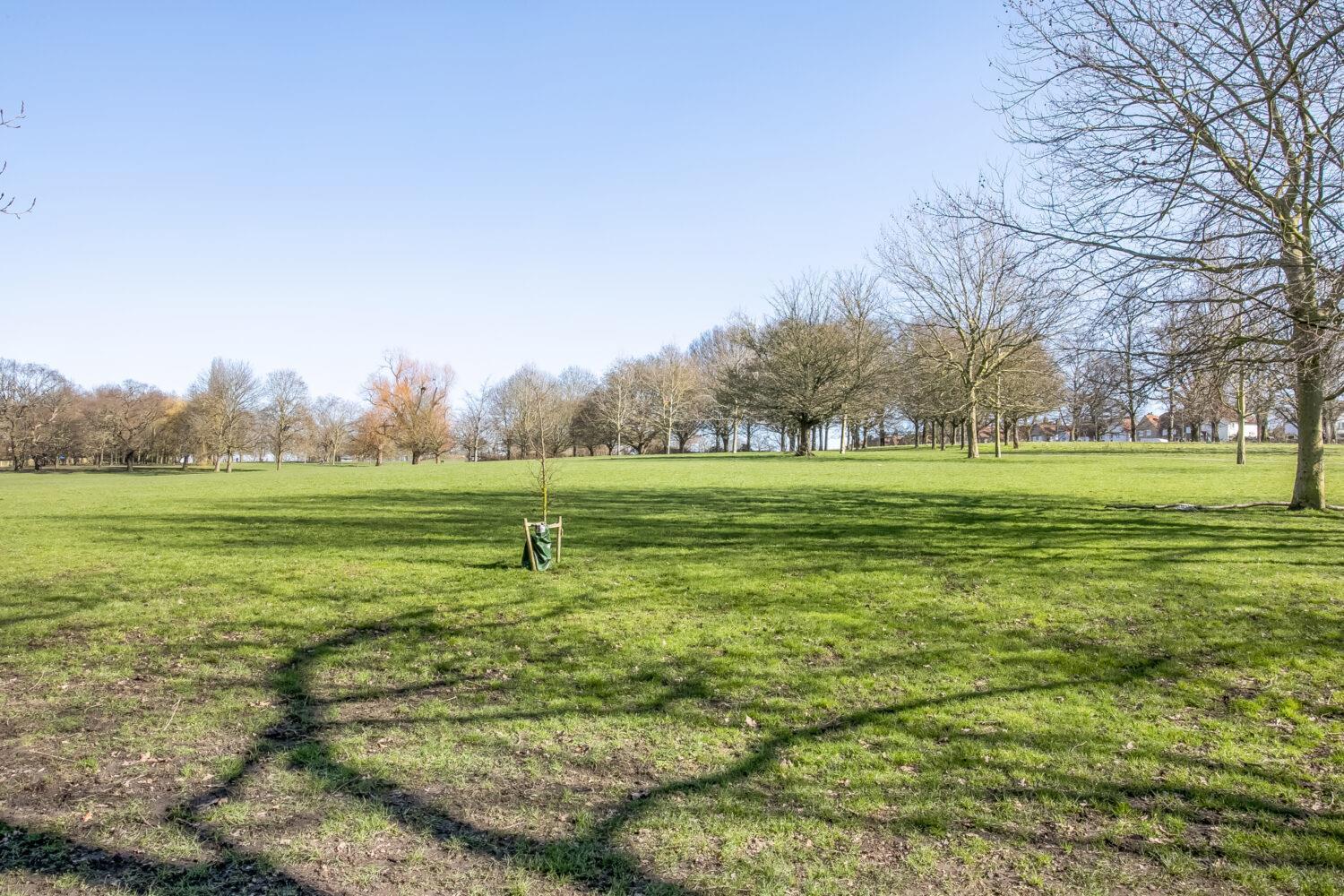 Property Image e8233e5b-90c7-442c-9898-f2b5bb7d9140