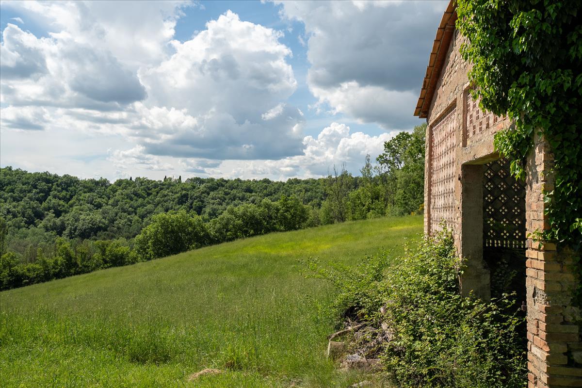 Property Image e8337e2e-1e4b-415e-b445-872d50e83883