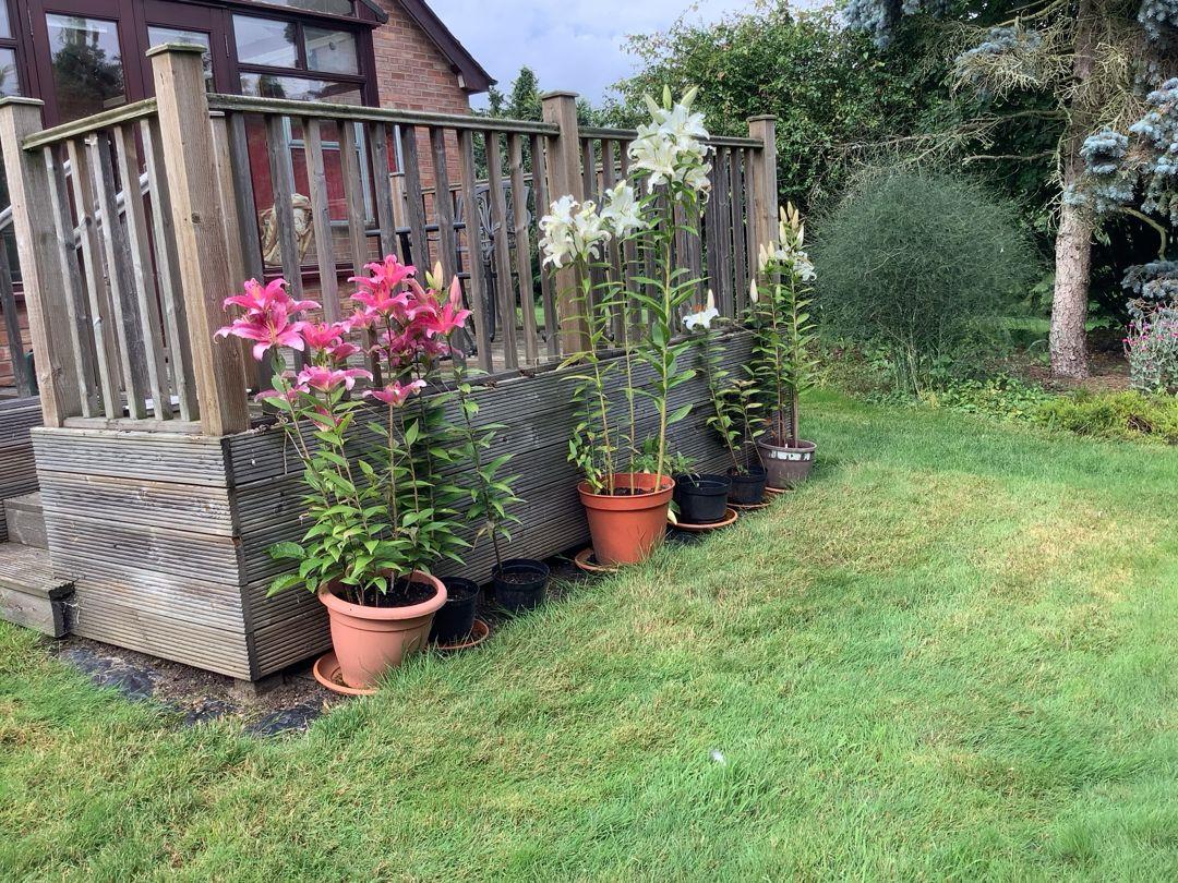 Property Image e83e8079-877f-4ffd-ac3c-e9f748c9dc74