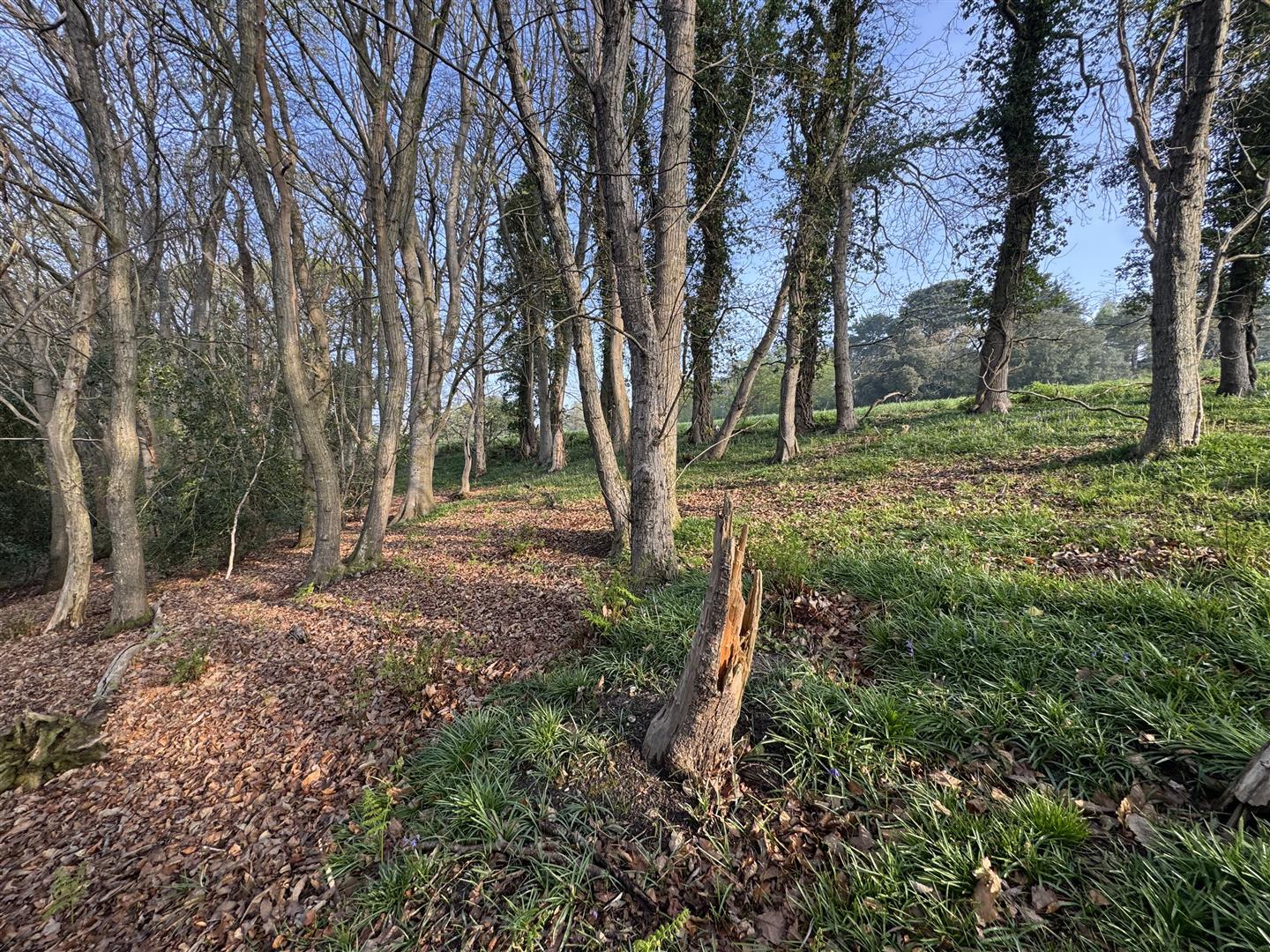 Property Image e846f670-a720-4bf0-9676-4268b630debf