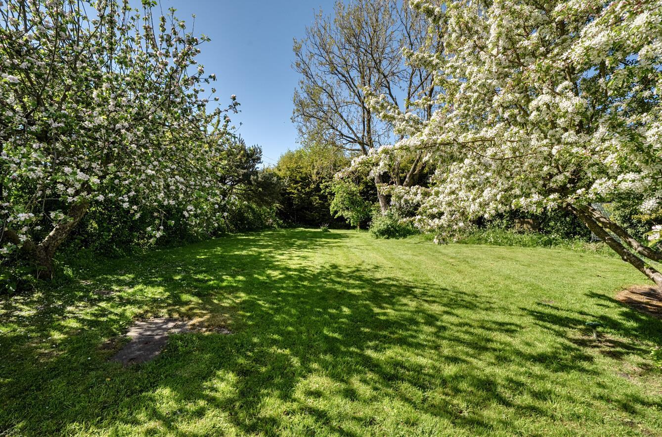 Property Image e84bc99b-a67d-4d8a-a3b4-5542fec65e74