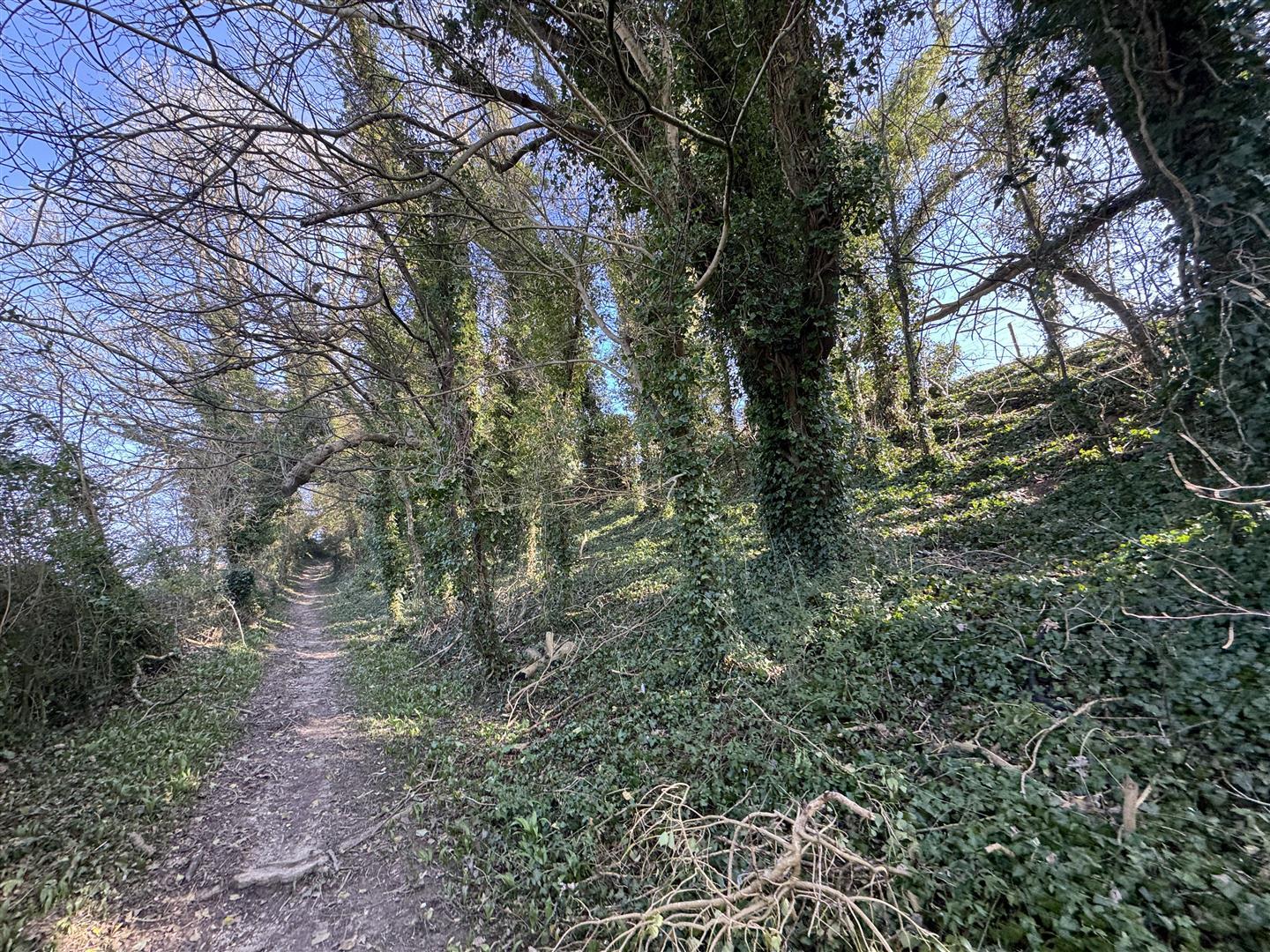 Property Image e88dbac7-ada0-45aa-9cdb-338d325c8bfe