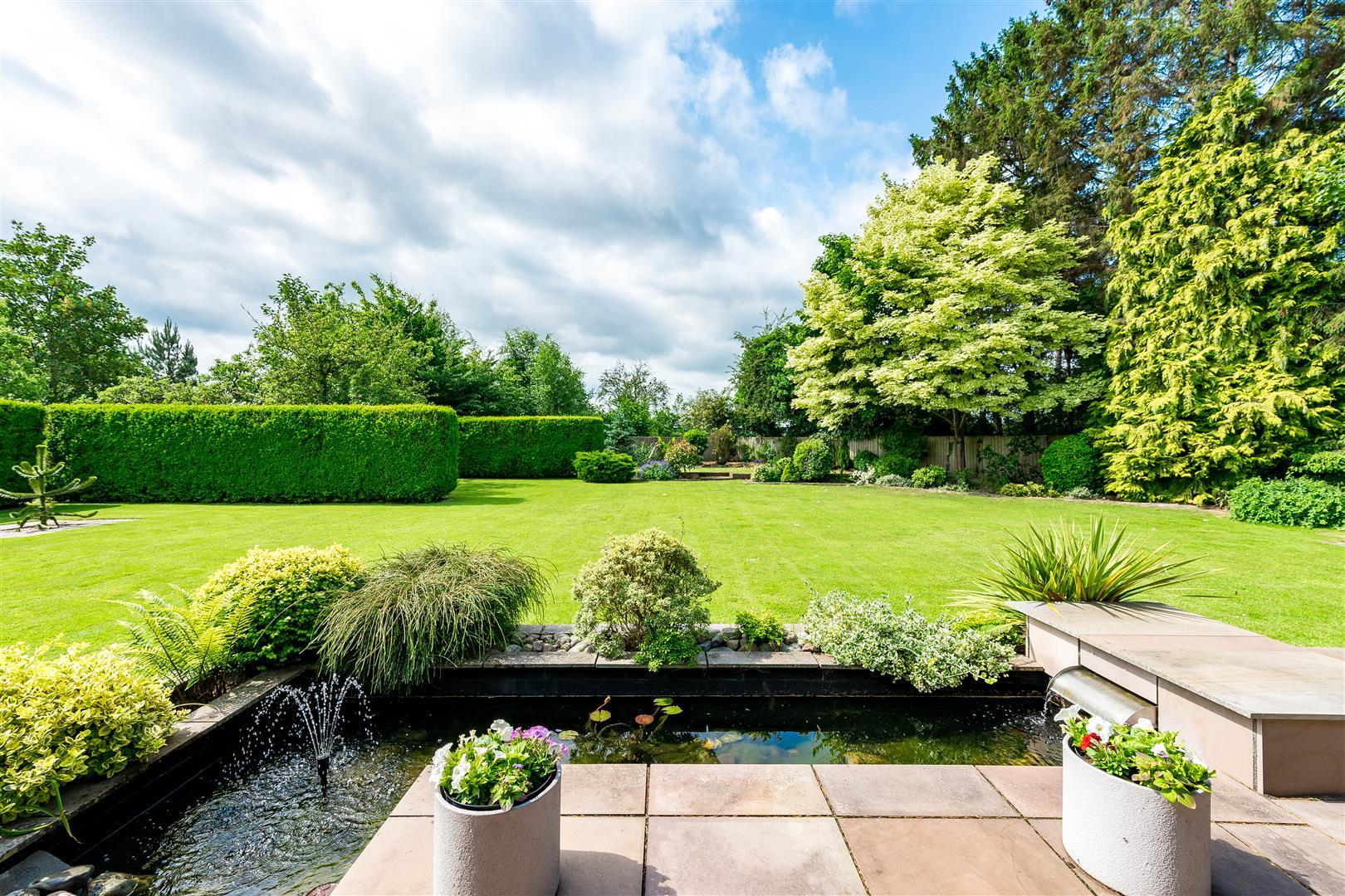 Property Image e898469f-8695-4116-9d07-74c8b8d57d42