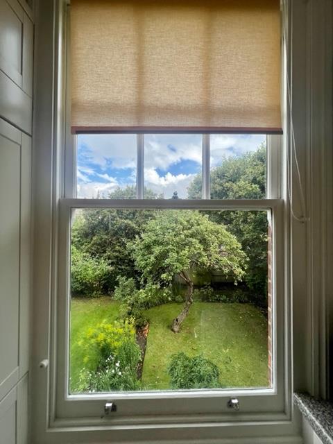 Property Image e89cd783-1f11-4083-821a-c0632003a410