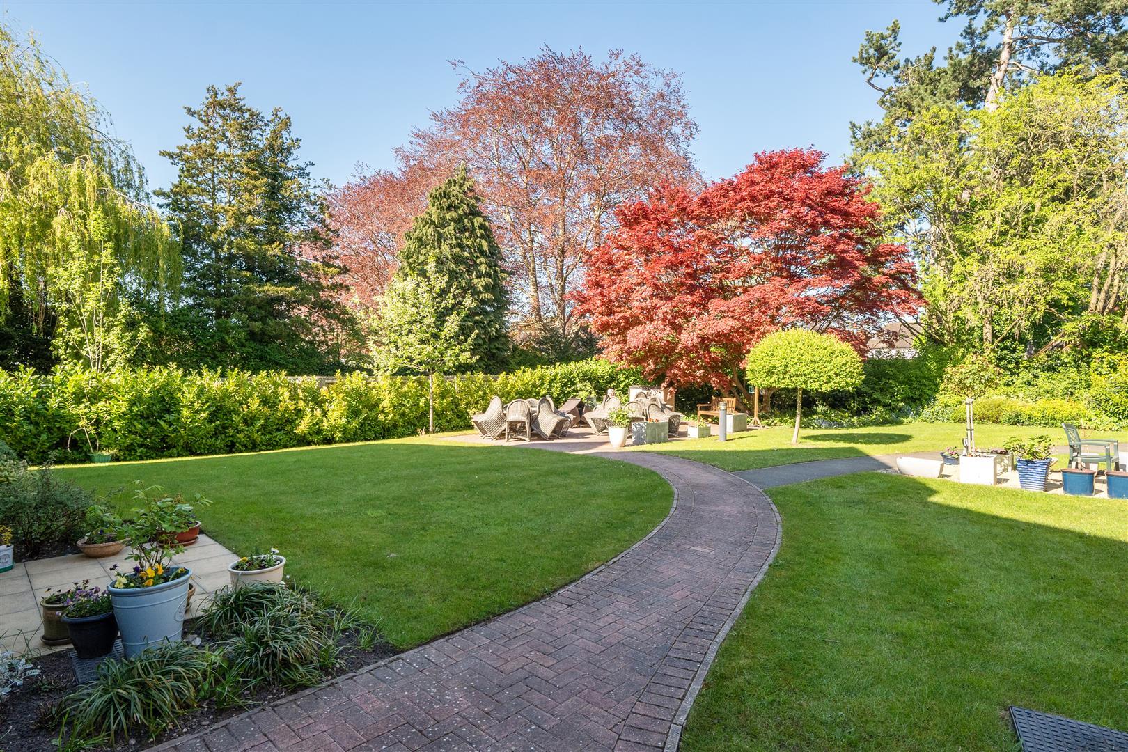Property Image e8b4afc5-9c72-419e-8812-0adb25aa810b