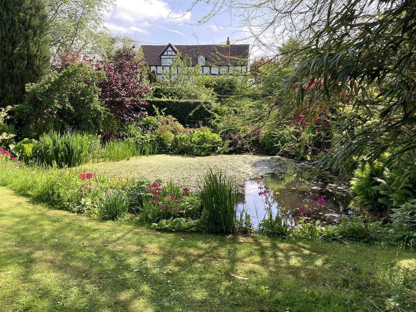 Property Image e8baf8a0-78b2-4d3a-a730-afd86ac52c7c