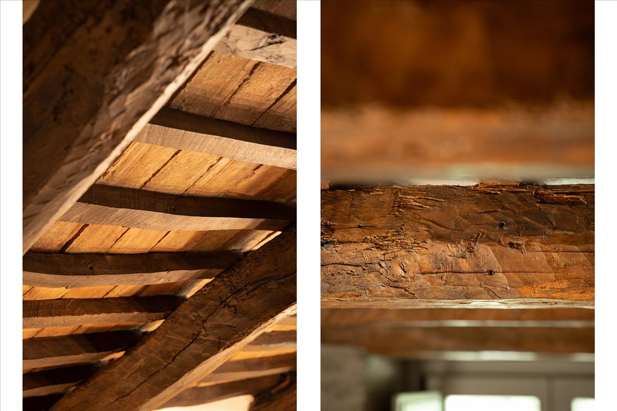 Property Image e8c54b24-134f-4b25-a224-1d43e2d636cb