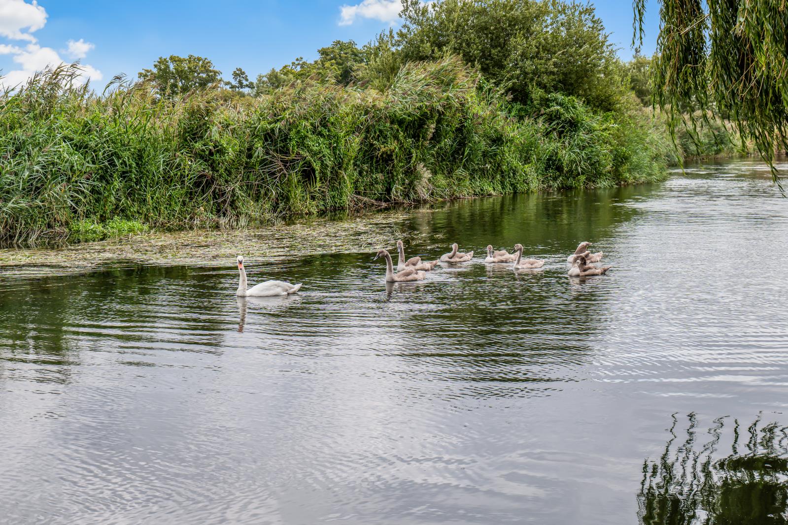 Property Image e8d1cf4f-cb69-4135-9a1a-e0f1bd6a1f3a