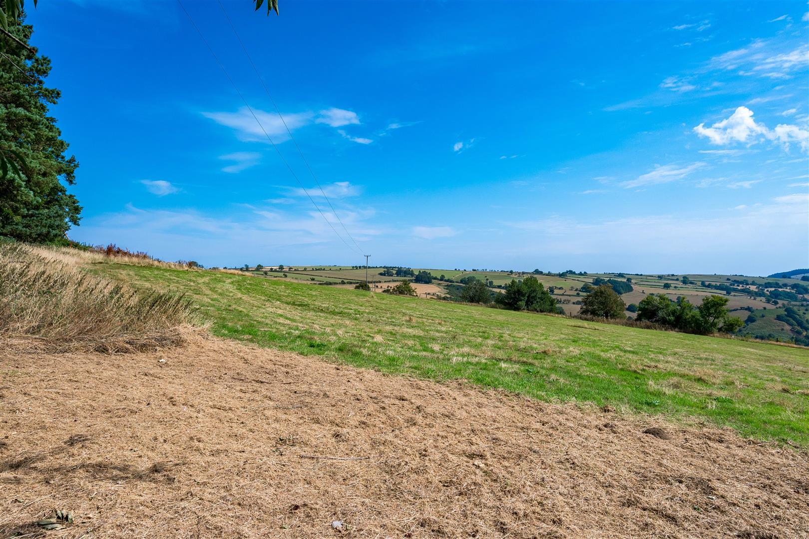 Property Image e900ab6d-f315-4e8b-872e-85b5703c9a12