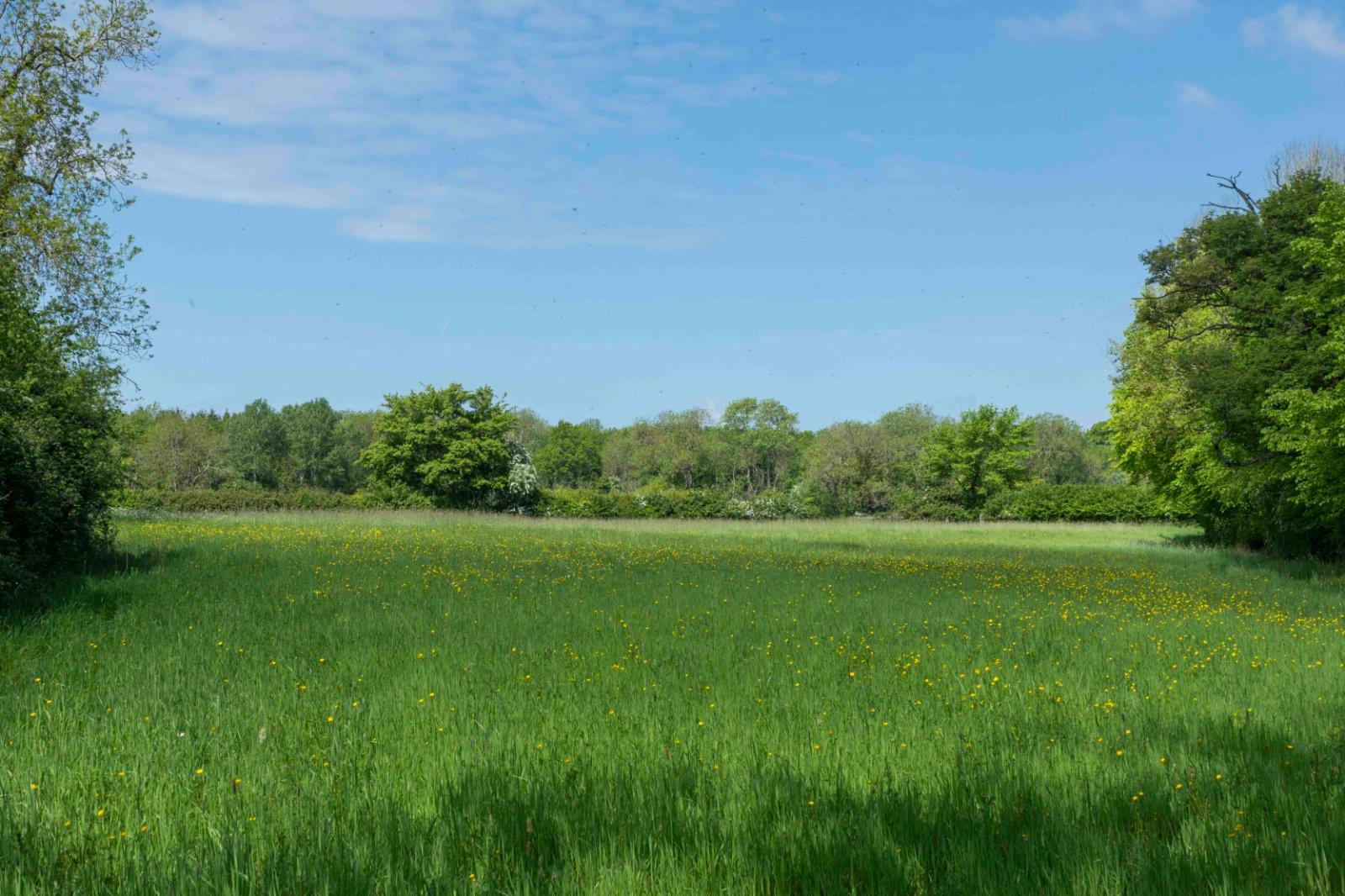 Property Image e90239e1-f71c-4719-963e-d2f9d136fd2a