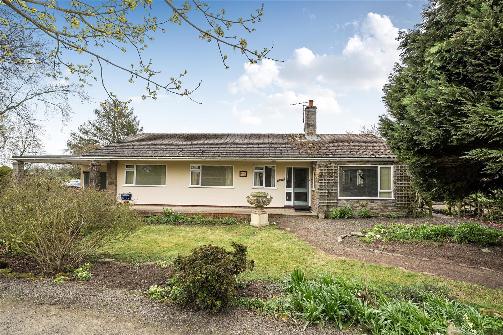 Property Image e9266301-c52a-4feb-8399-643f9462b8e1