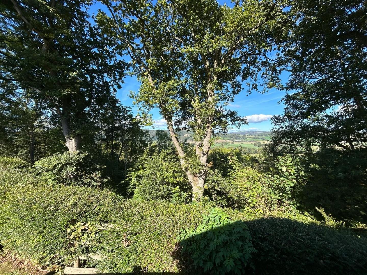 Property Image e94b1080-8823-4999-b0e0-dc58e50ad3f1