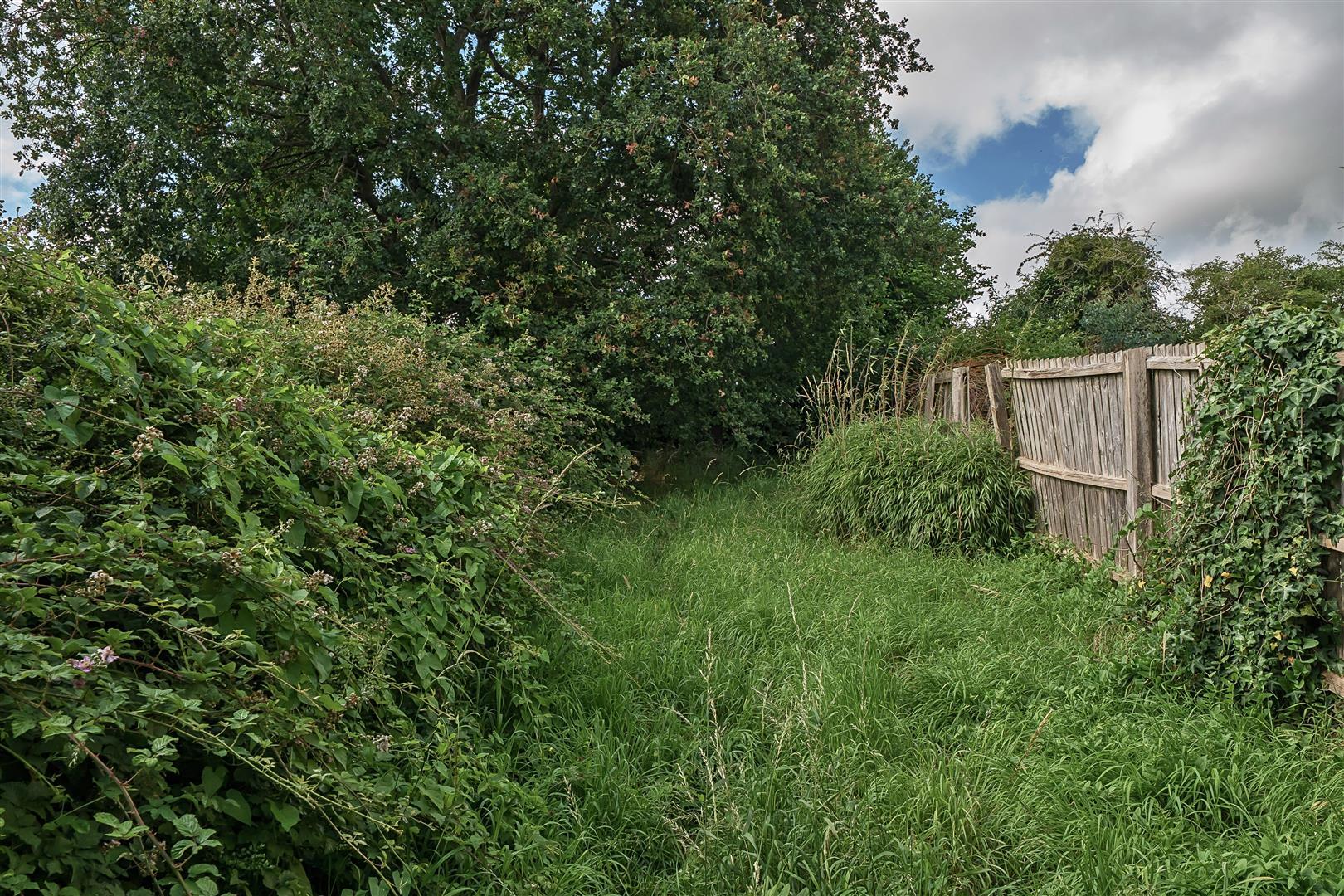 Property Image e96ae324-b988-438d-bf4a-2abda70fd2ec