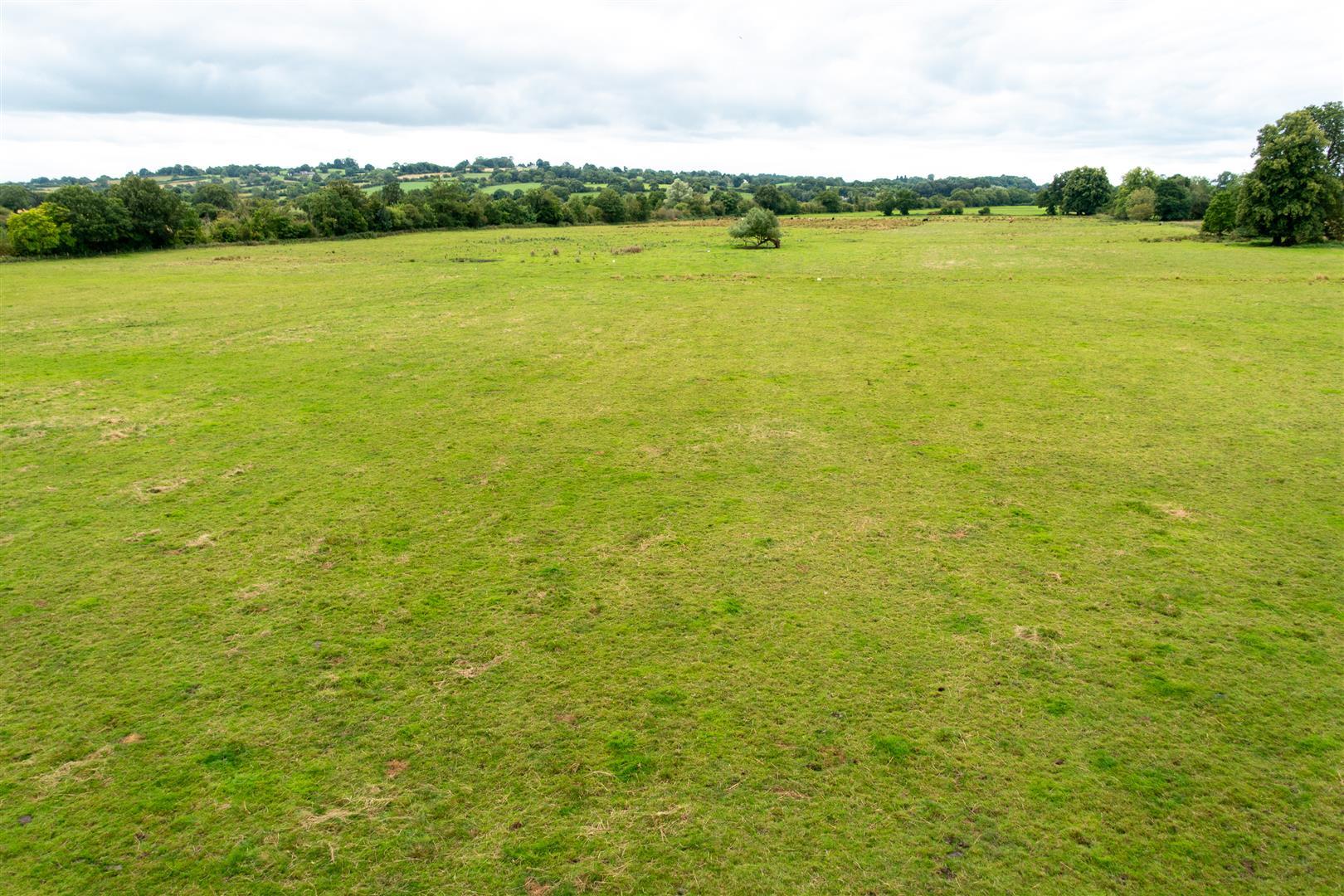 Property Image e96cd6a9-f08b-453b-b17b-d7e9c6519604