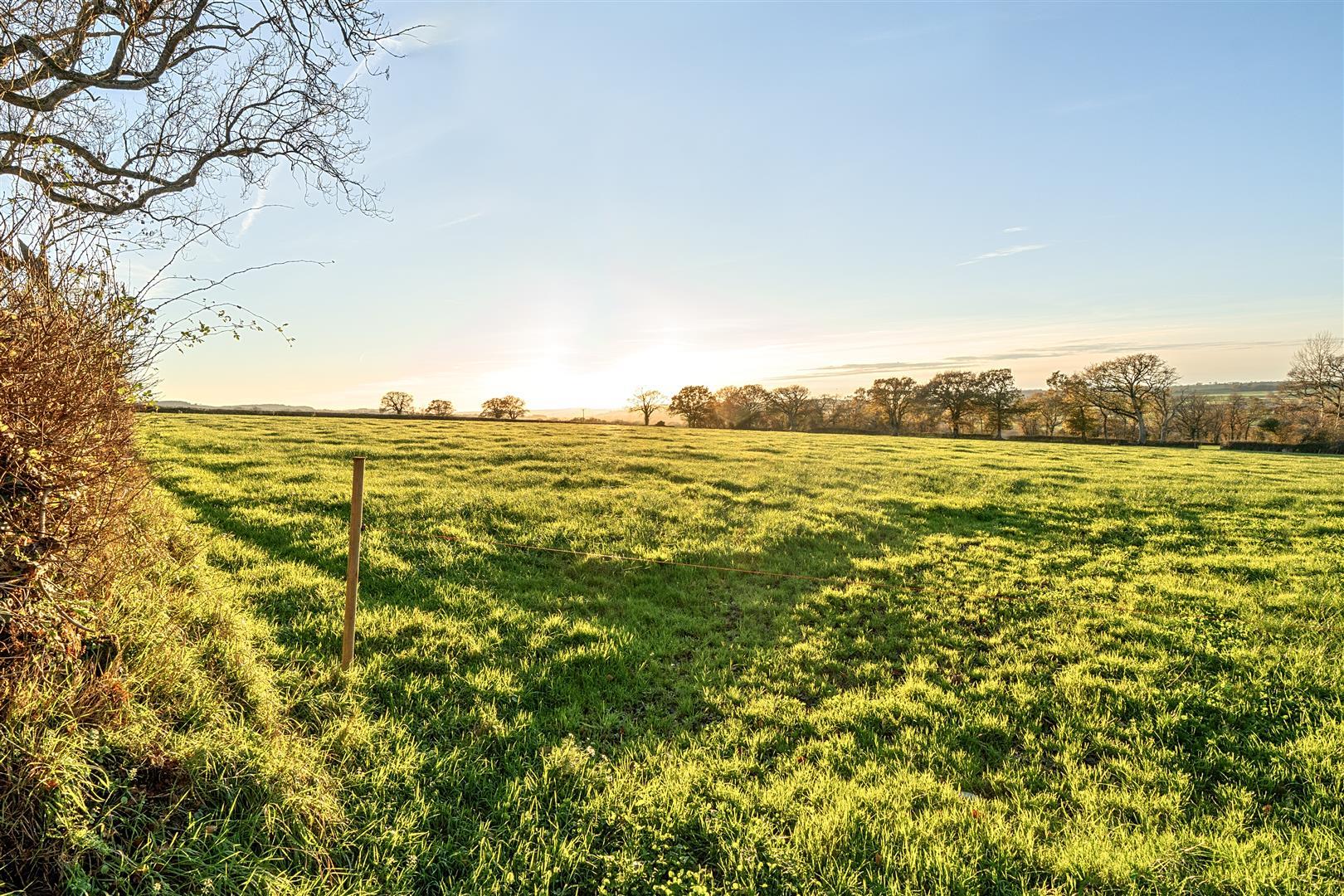 Property Image e992f553-9690-4f34-90b9-bf52fd8d2c3a