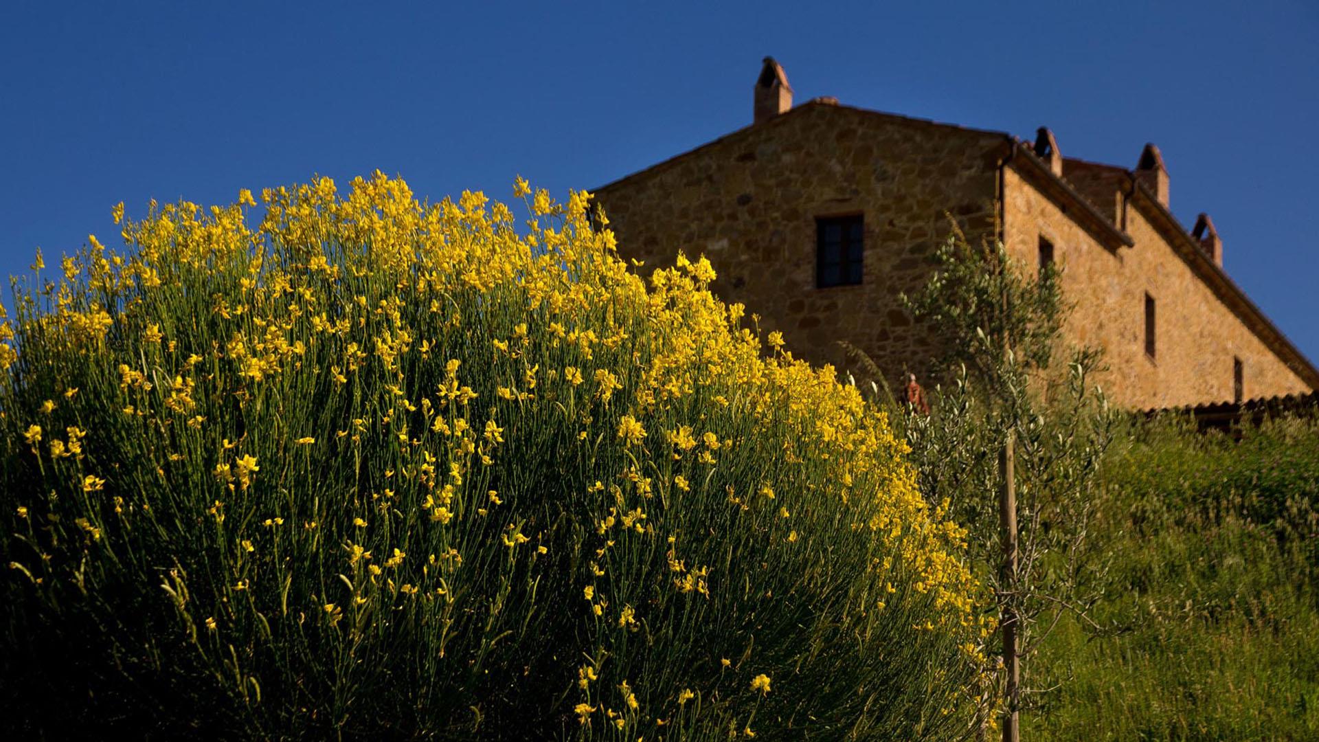 Property Image e99b2234-798b-4707-a299-304a4e8389d6