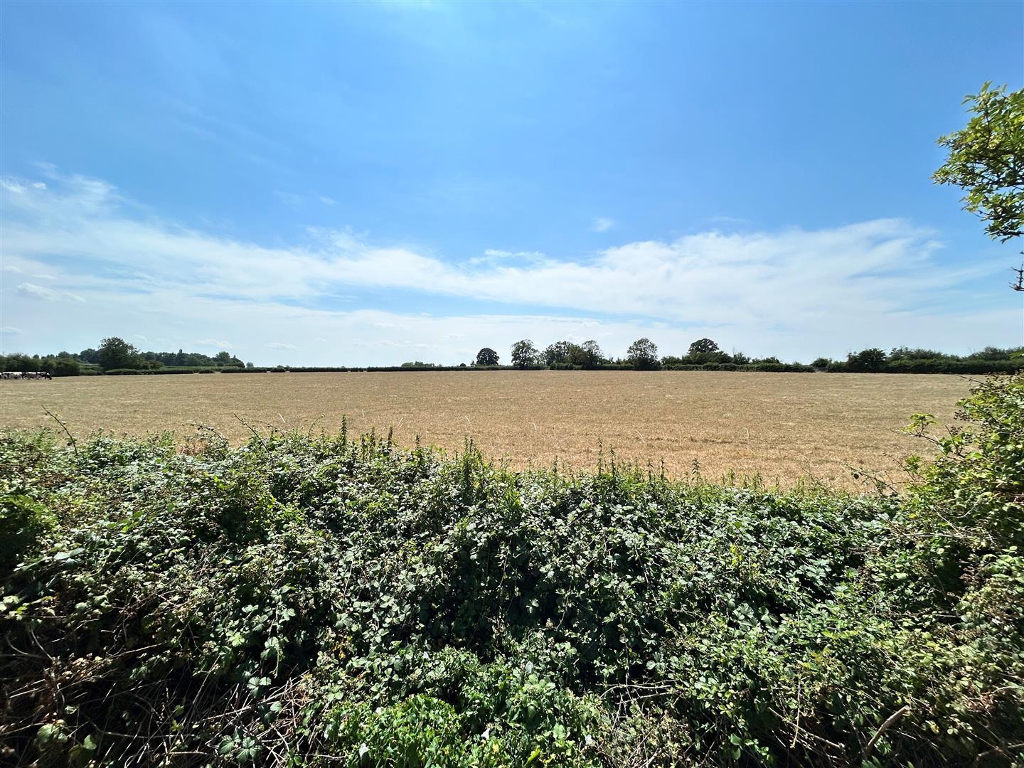 Property Image e99fb75d-2ee6-44d1-b6e3-829159c327ce