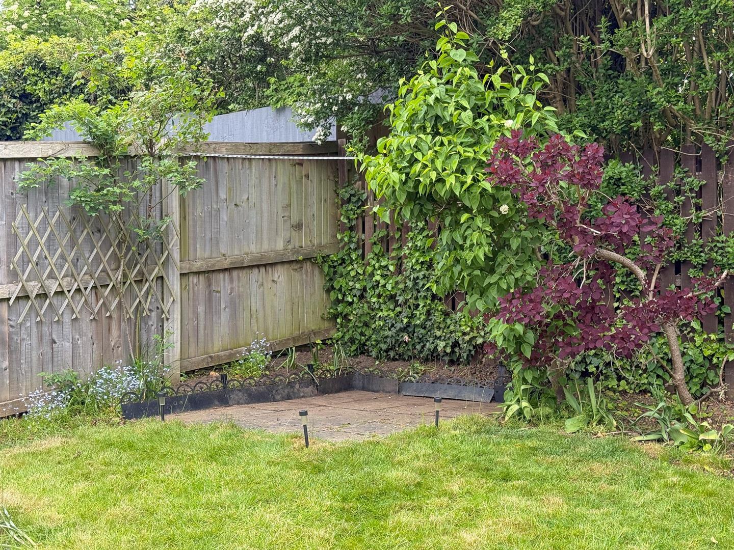 Image 22