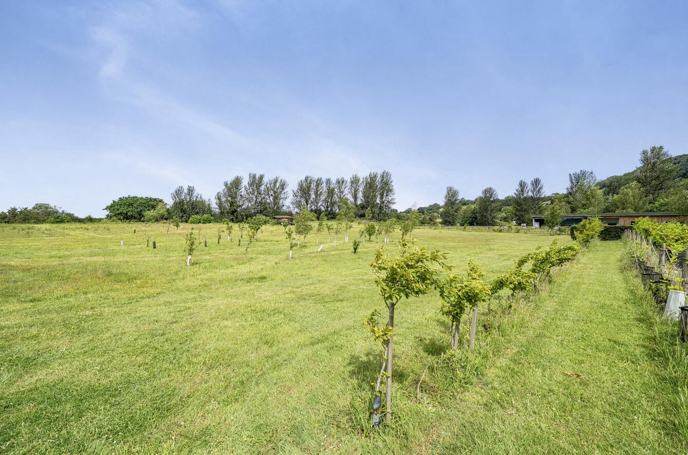Property Image ea35270e-28ba-45bc-990e-292e073cf4a7