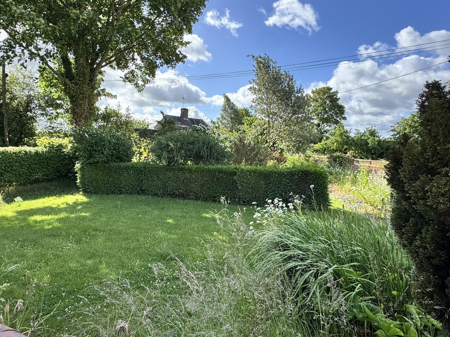 Property Image ea95ff6f-f82b-494c-99f1-aa74898a9e86