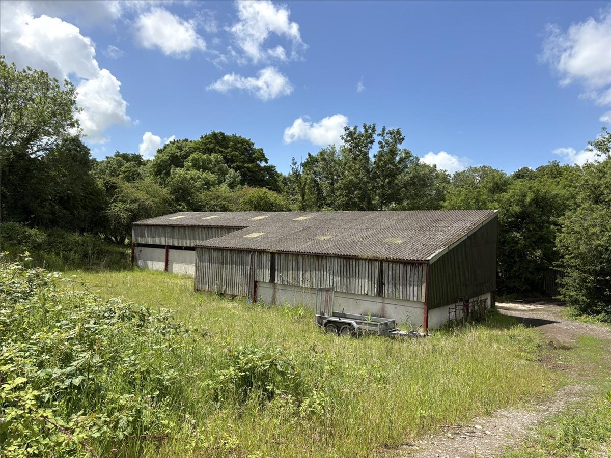 Property Image eaa1aec5-3249-4c06-8e94-2e6441c07019