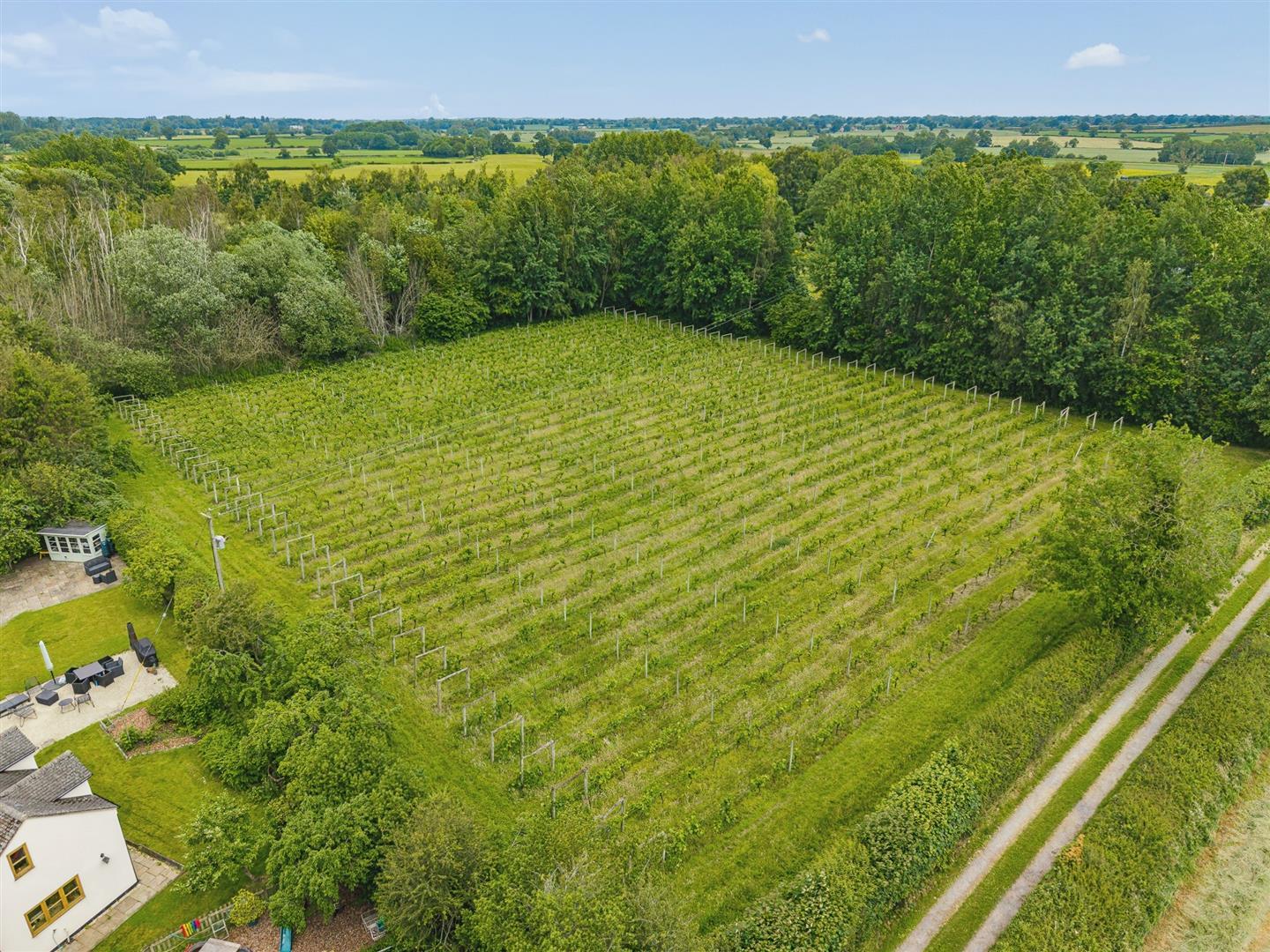 Property Image eaadc676-8310-40dc-bc83-d02832a246ff