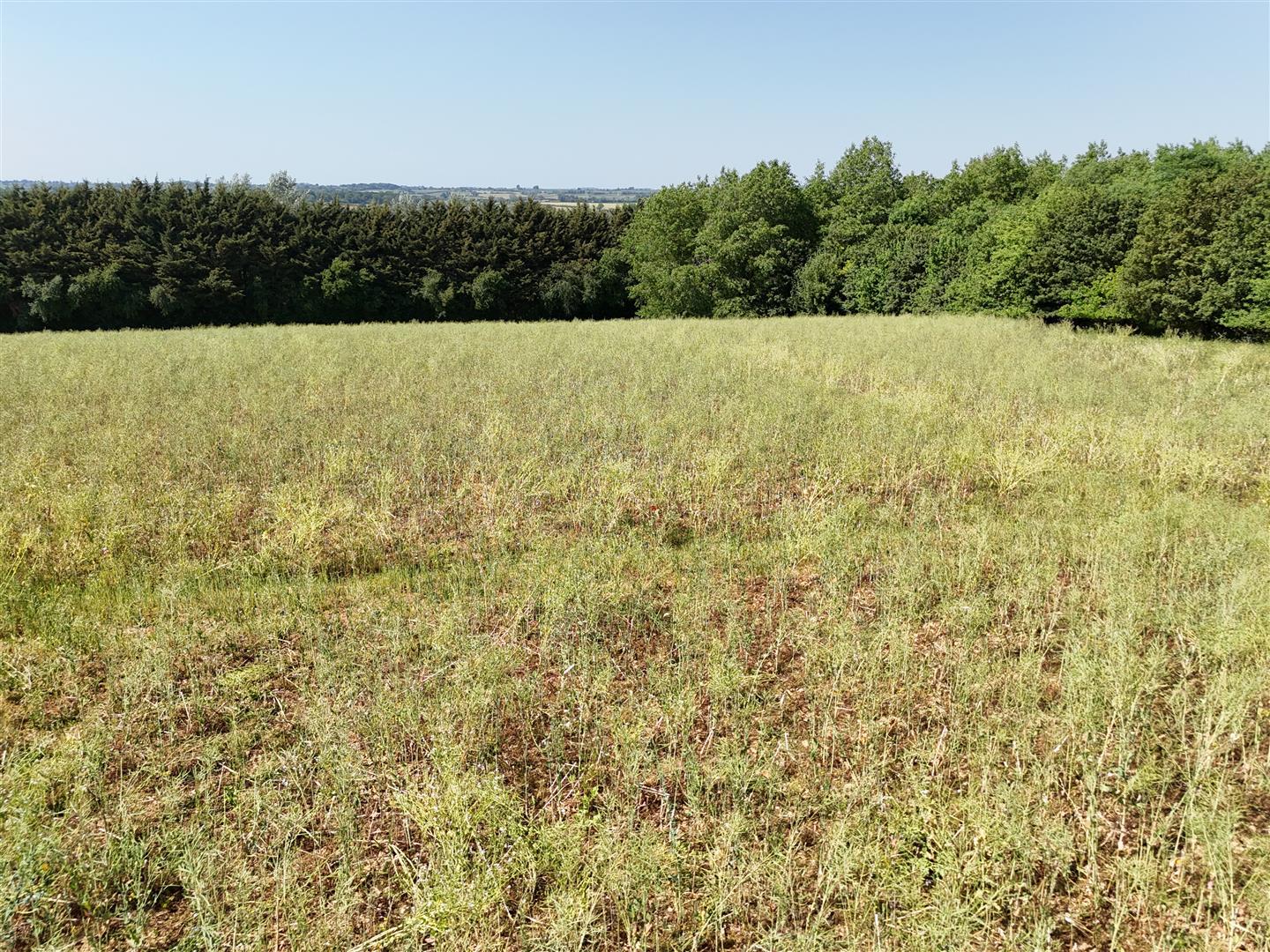 Property Image ead68bc7-d5eb-4e82-b021-aed90e8deb0e