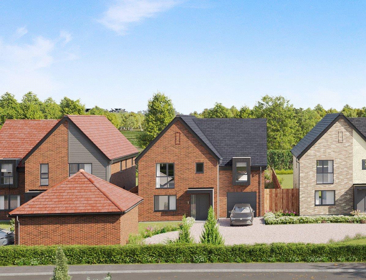 Property Image eb1605ec-471d-41fe-8125-98108a98945d