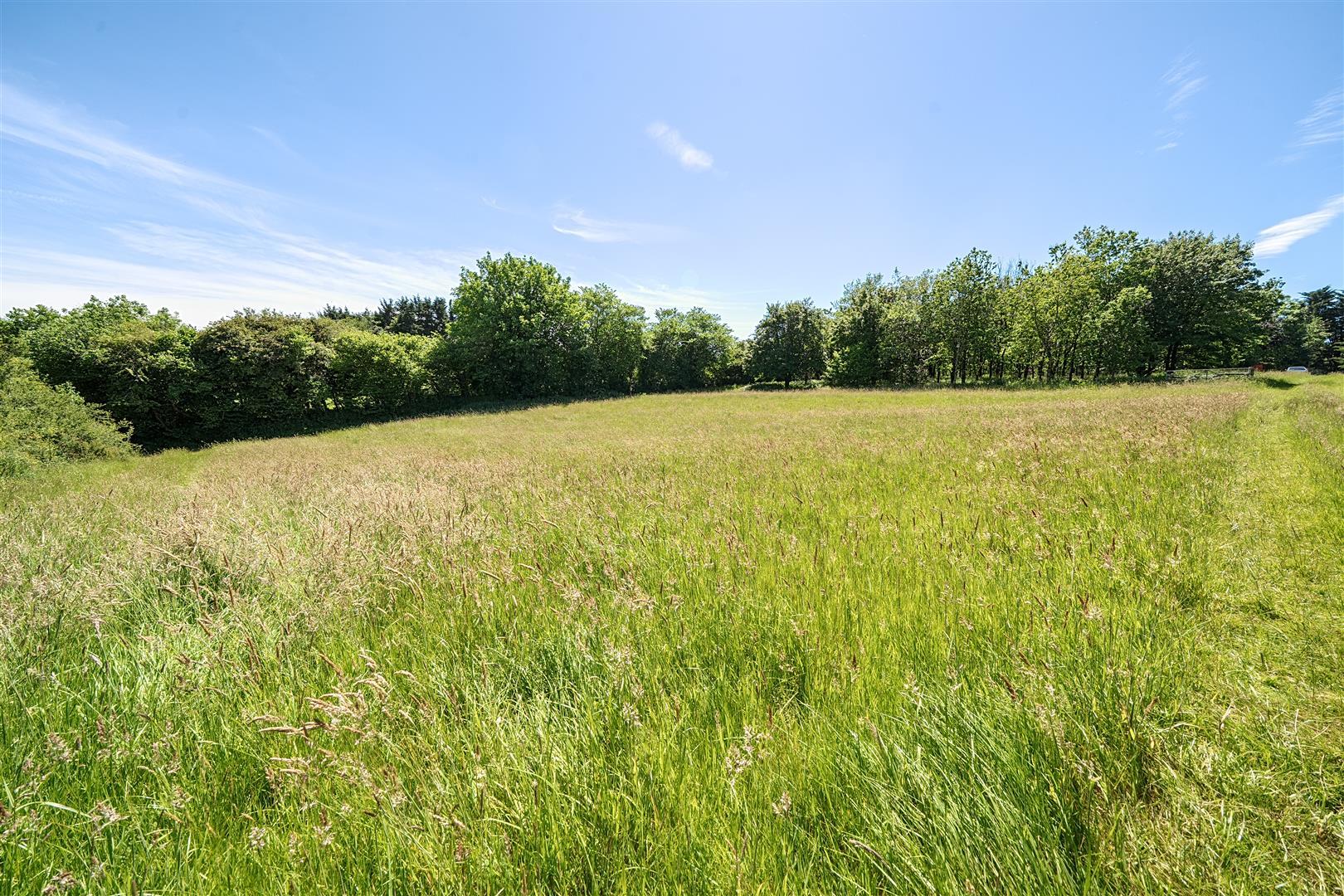 Property Image eb51ca1a-97eb-4acd-9cac-25100a6839e2