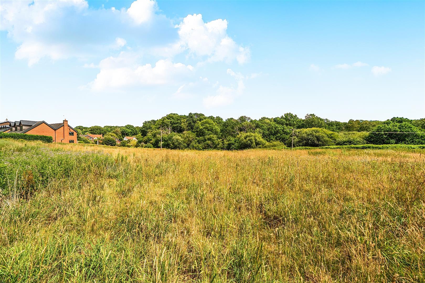 Property Image ebaae07e-4b21-4e84-bcef-dc0772177b3f