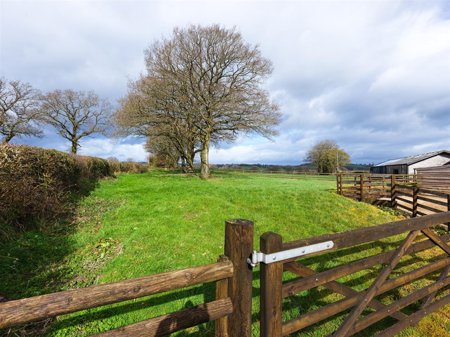 Property Image ebac2788-bc8a-4d95-b107-91a15ad74ef6
