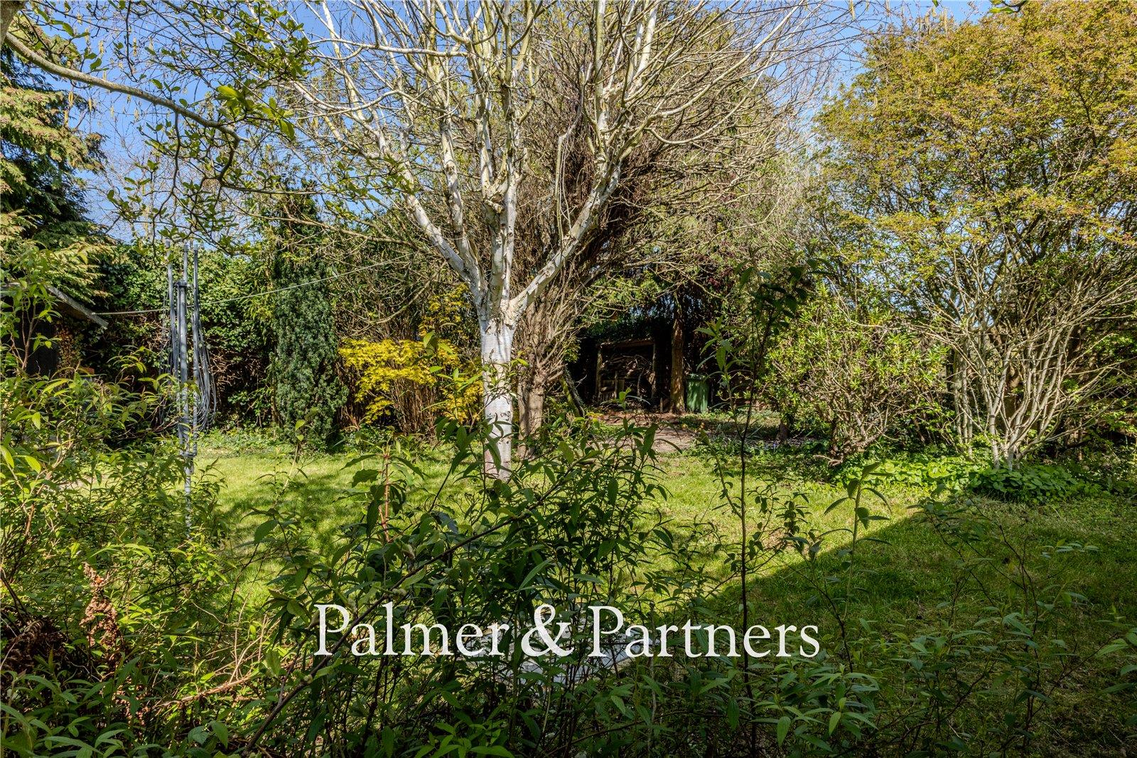 Property Image ebb2a362-c672-494f-a210-3563c48b1296