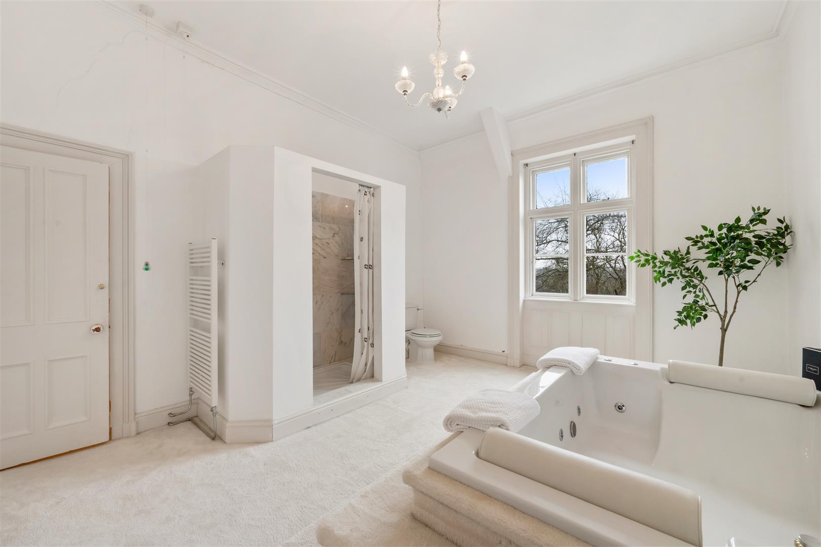 Property Image ebb65dae-e21e-4470-98cf-1c4e114dcaf8