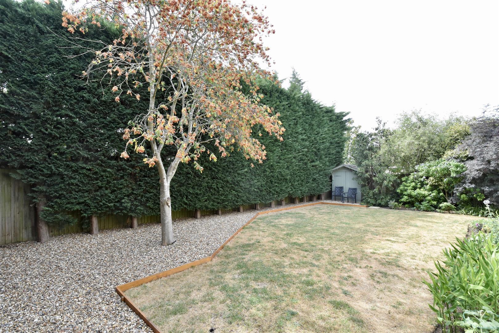 Property Image ebbe72d1-5904-4455-a697-4e8827589544