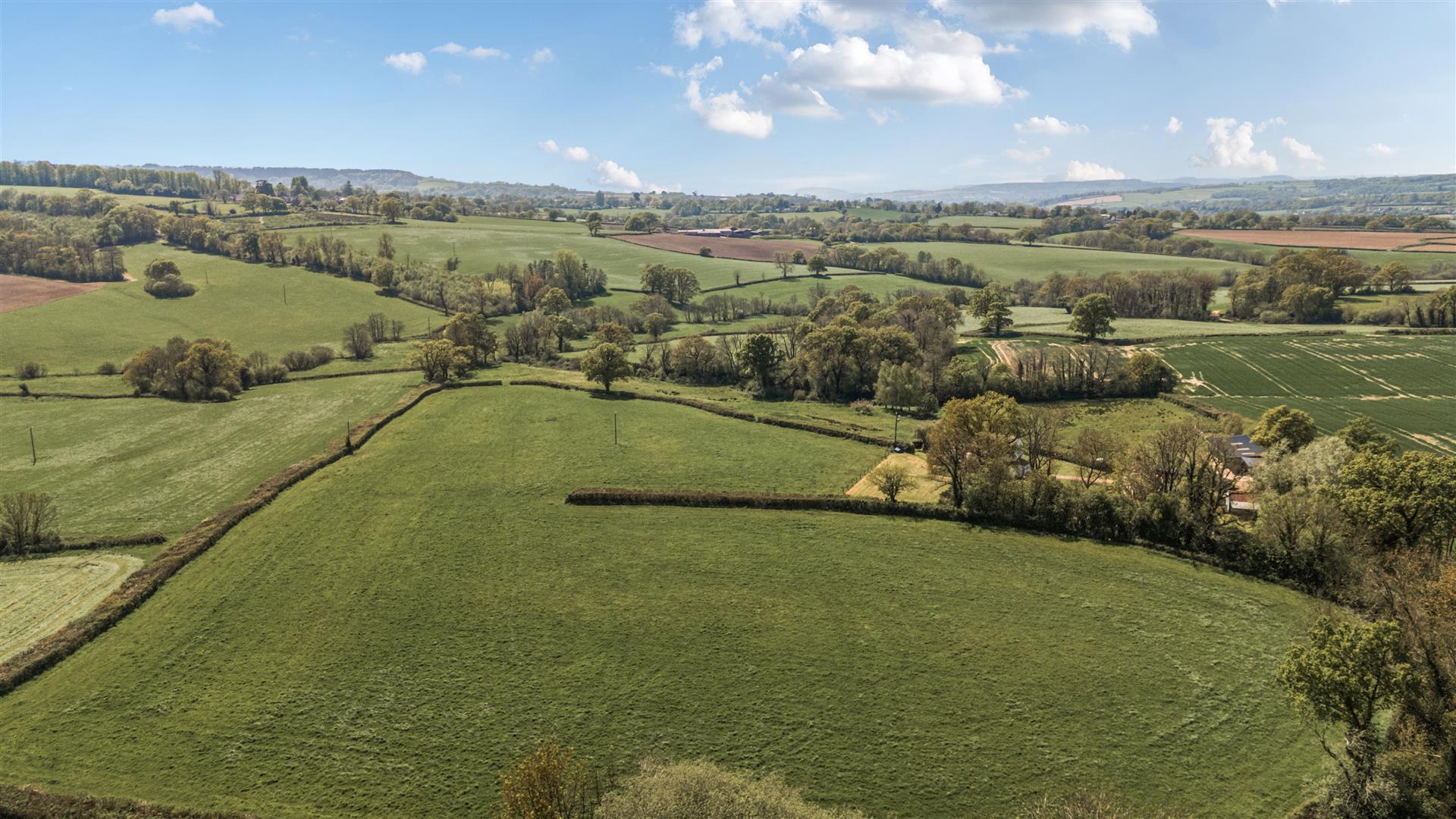 Image 15