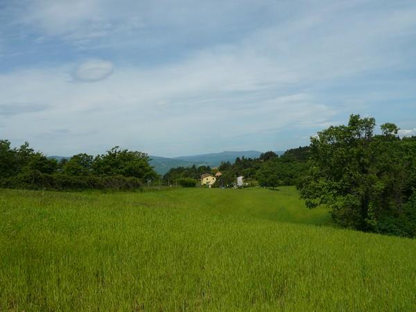 Property Image ebcae8a3-af10-46ba-8e47-500dfffff80d