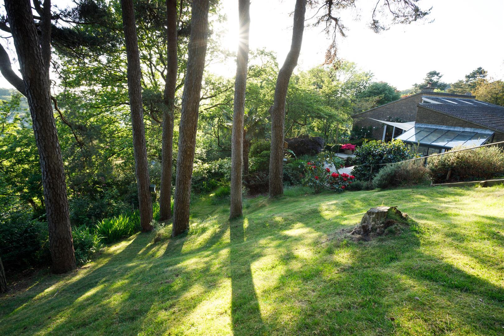 Property Image ebeea580-3840-438b-a099-0863856cd81f