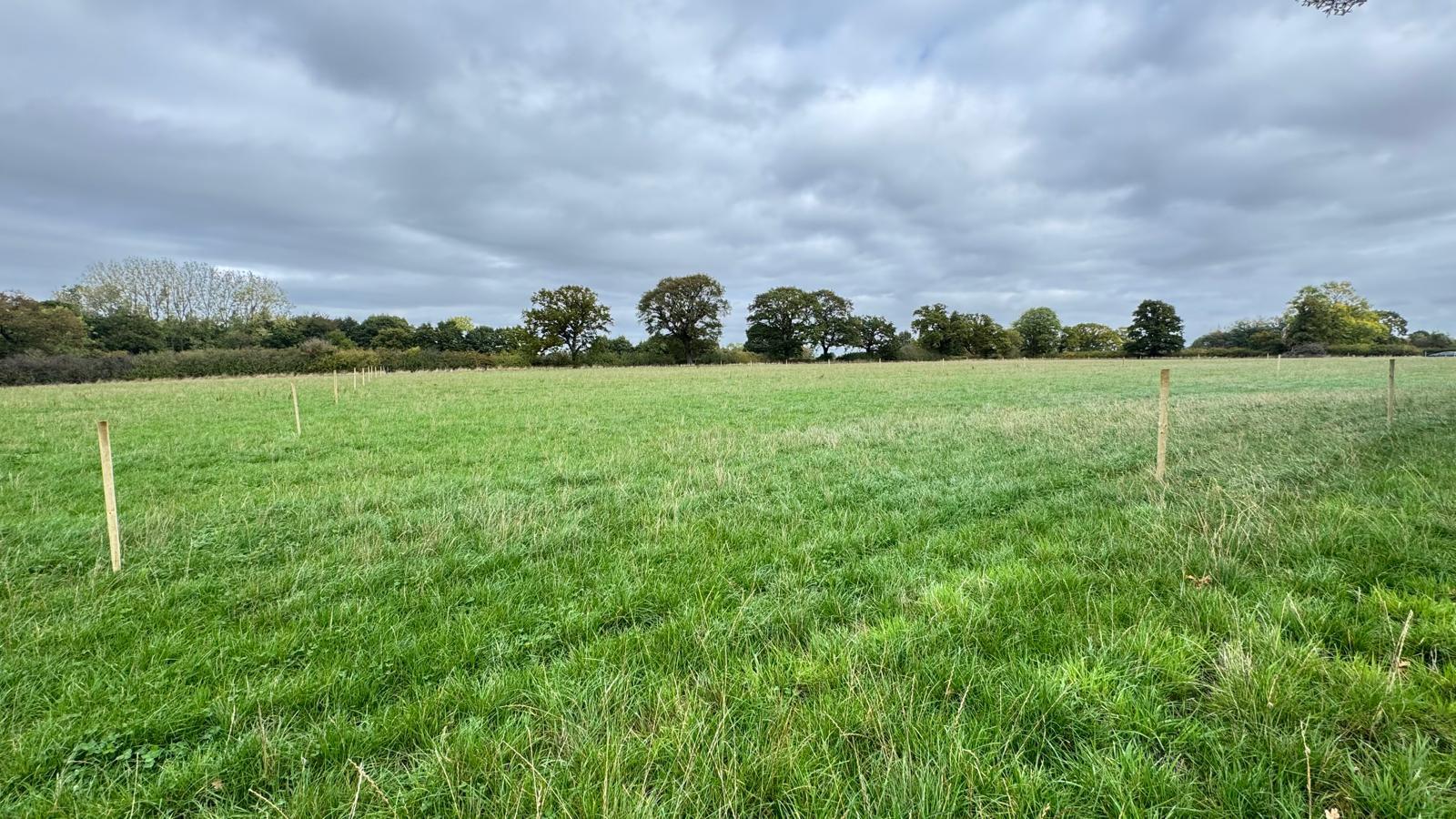 Property Image ebfcdce0-b34f-4c6a-b47c-805e0b054698