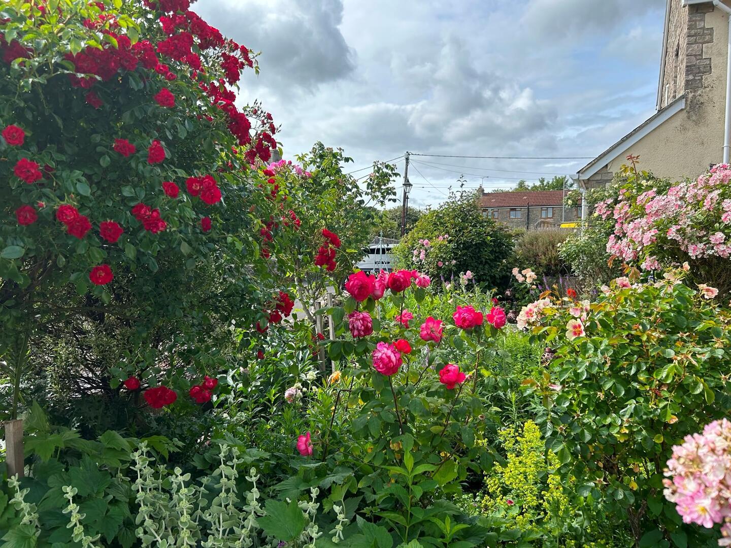 Property Image ec47cac0-c76e-43d5-8c0d-415e2e89f4f5