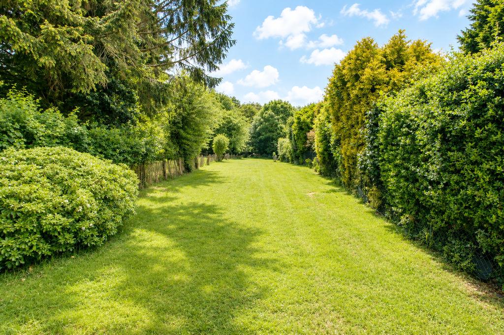 Property Image ec73adc0-e820-4ff6-a4fe-e0490a9f2158