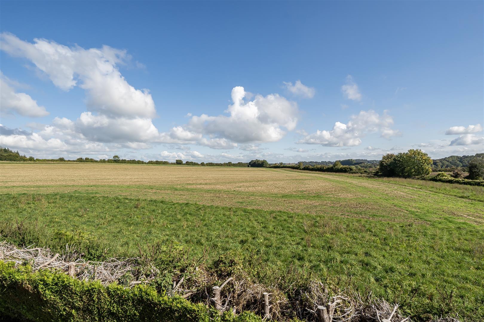 Property Image ec9d8ae0-4325-47d5-9c22-ded8b427a4cc
