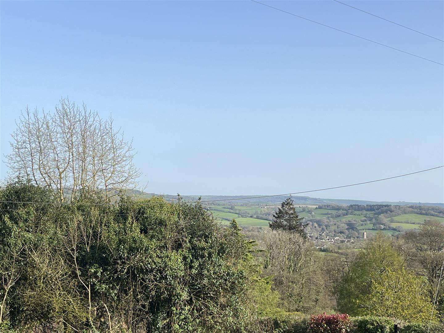 Image 14