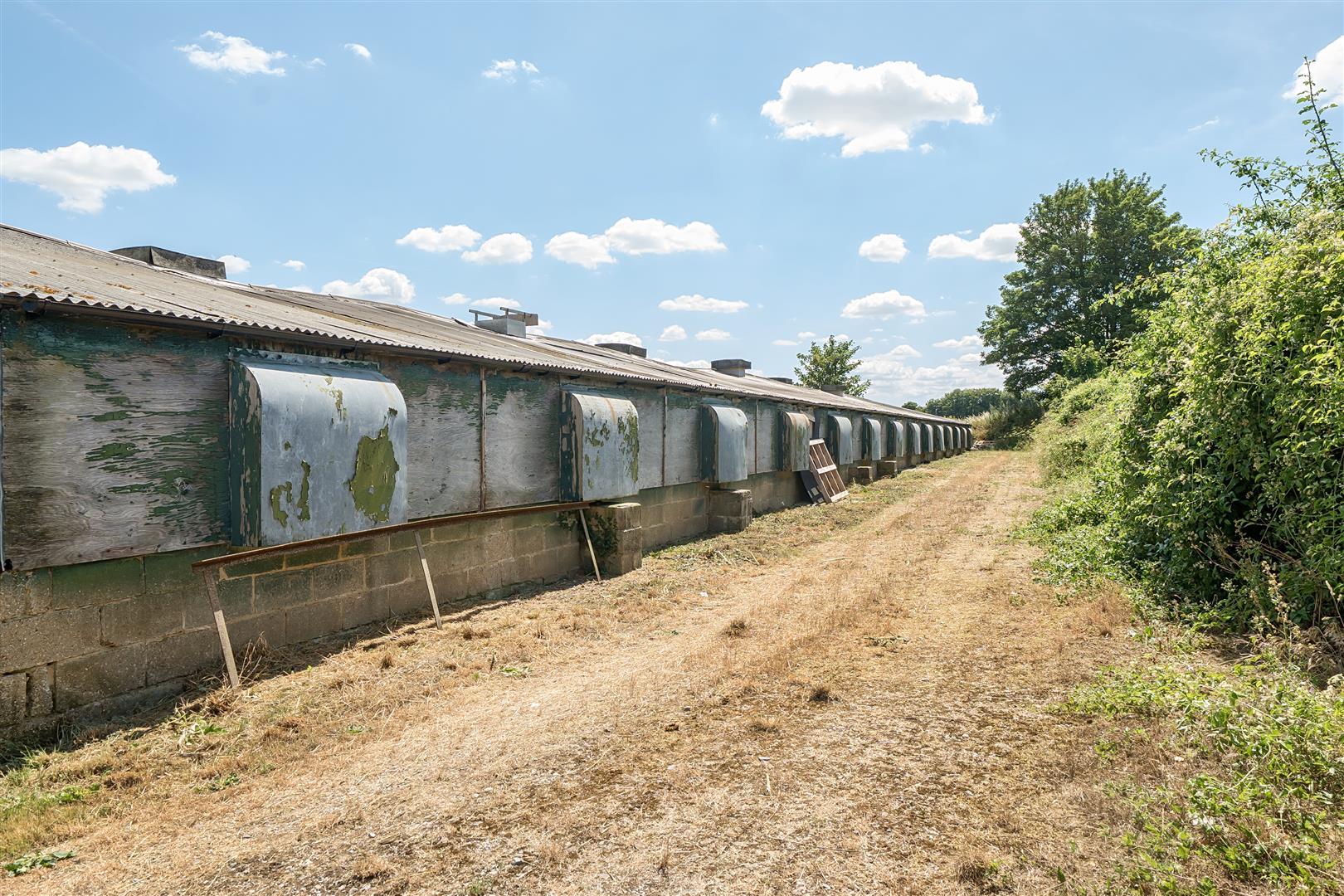 Property Image ed46c160-499a-4a14-bed4-3a9055a8ea34