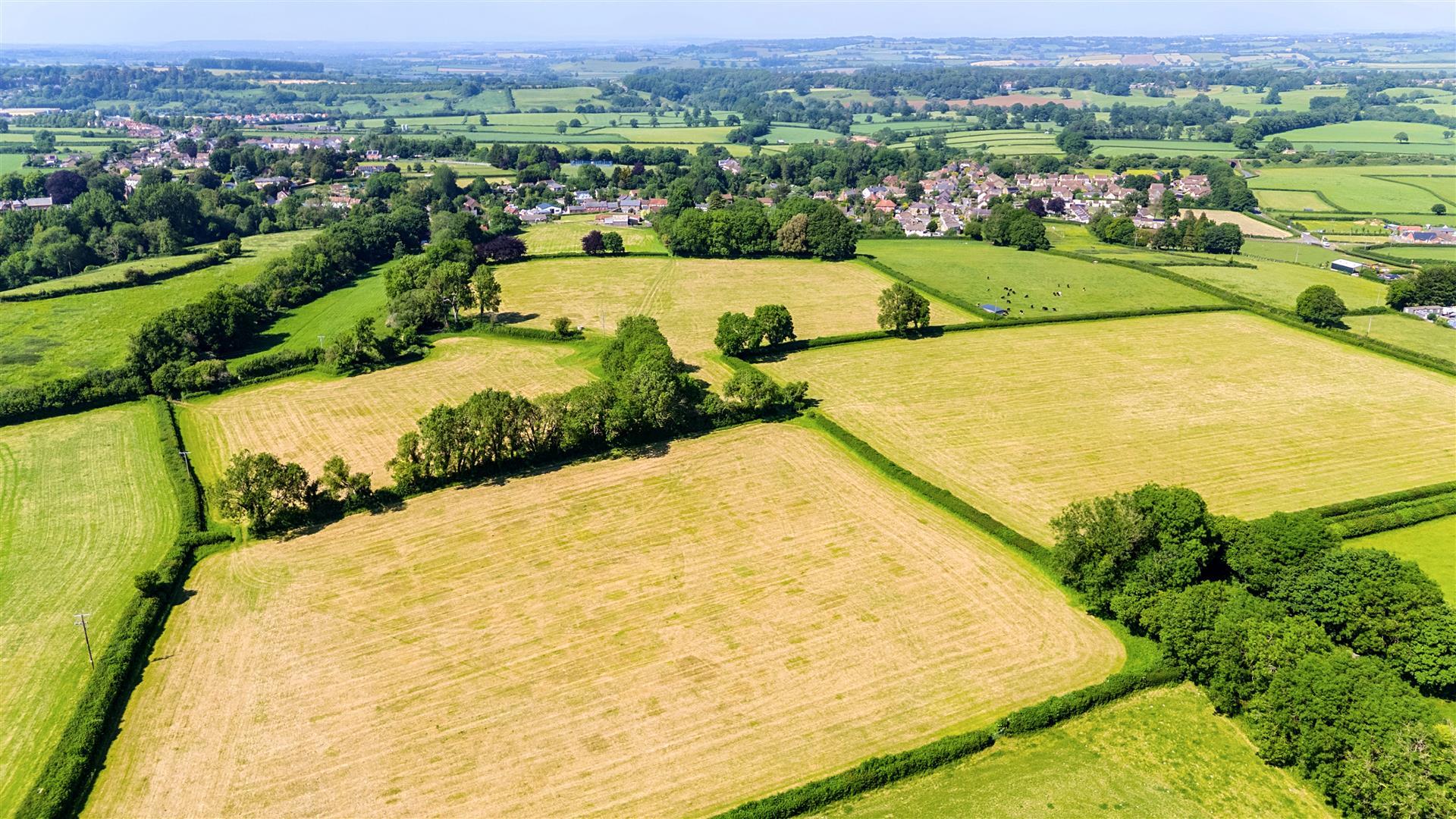 Property Image ed775cf7-3723-439d-8d00-59b7ab2b5a5a