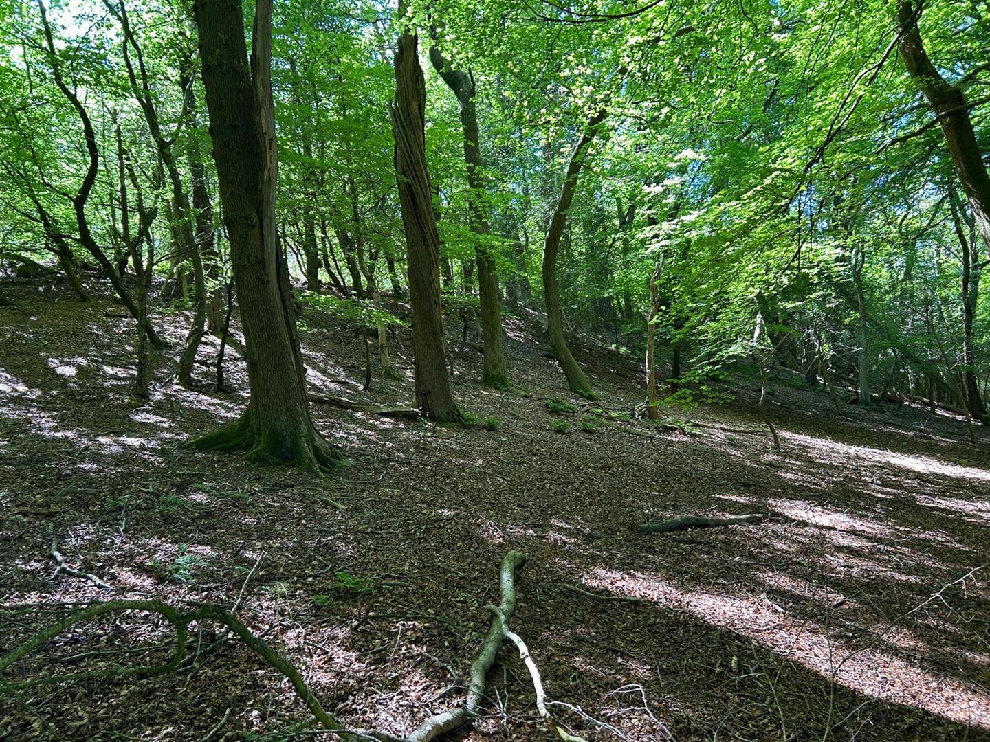 Property Image ed822a45-af48-4846-8b5c-4b335e27a995
