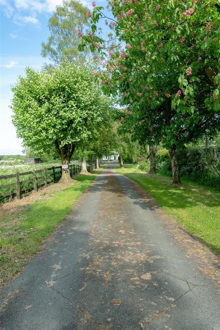 Property Image ed9e9ec6-d9aa-404b-aa48-88bb1734dd94