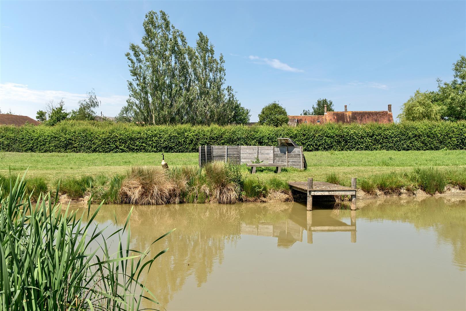 Property Image eda10541-9f3e-4efb-adcc-dfd8156292c2