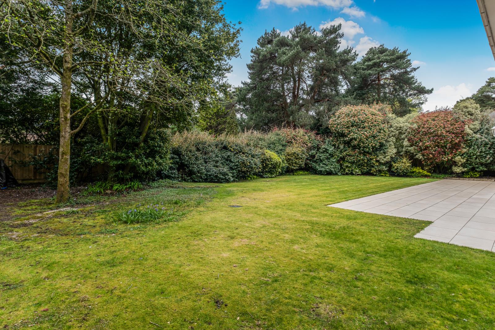 Property Image edcd859d-0f3d-4e81-8fab-2663853040a8