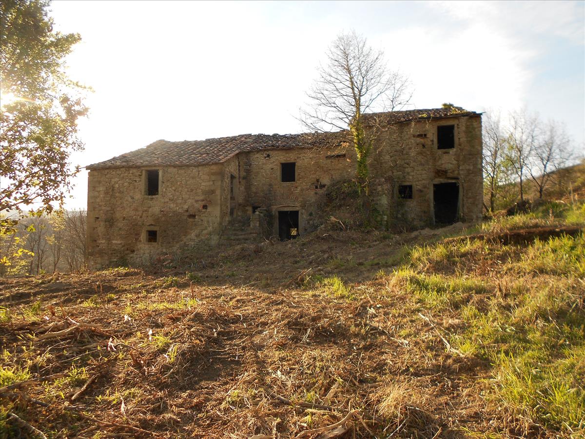 Property Image edfb059c-7c00-434e-8adc-b9601d366f64